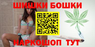 шишки Аргун