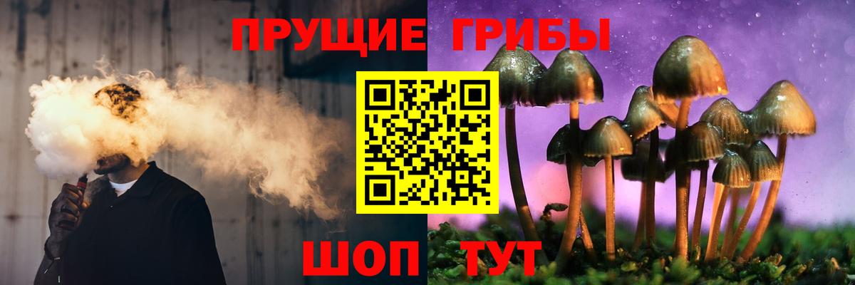 Псилоцибиновые грибы GOLDEN TEACHER  купить наркотики сайты  Вход с VPN  Верхний Уфалей  Галлюциногенные грибы мухоморы 